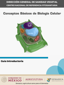Guia Introductoria Conceptos Fudamentales Biol Celular V.1 PUB