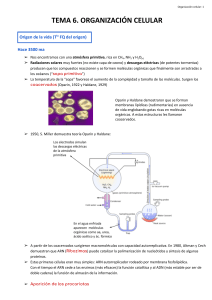Tema 6. Organización celular (resumen)
