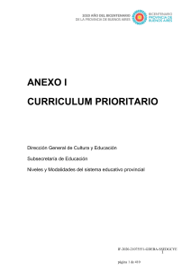 ANEXO 1 CURRICULUM PRIORITARIO