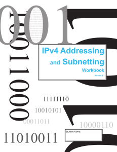IPv4 Addressing and Subnetting Workbook