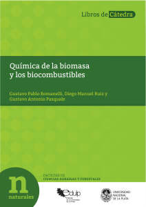 Química de la biomasa y los biocombustibles 2016