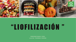 Liofilización Monografía Expo