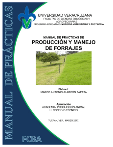 Manual de Producci&oacute;n y Manejo de Forrajes - UV