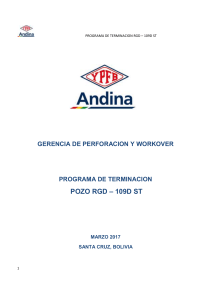 382720122-Cs-Programa-de-Terminacion-Rgd-109d-St-Final-2