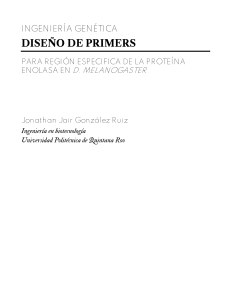 Diseño de Primers Enolasa D. melanogaster