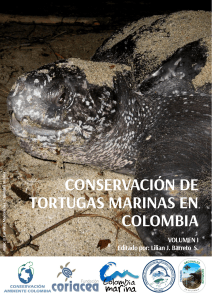 Colombia Tortugas Marinas- divulgativo