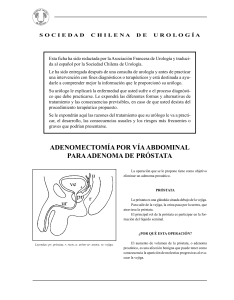 01-Adenomectomia