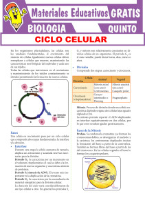 Ciclo-Celular-para-Quinto-Grado-de-Secundaria