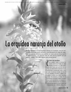 La orquídea naranja del otoño_ecofronteras