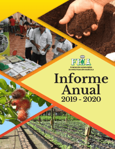 informe anual fhia 2019-2020