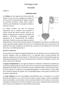 Fisiología renal arenalde capitulo 2 y 3 histologia anatomia 