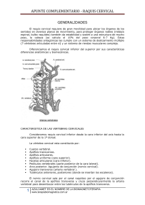 Biomagnetismo -Apunte Cervical-AnatoFisiología
