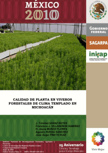 CALIDAD DE PLANTA EN VIVEROS FORESTALES DE CLIMA TEMPLADO EN MICHOACAN. 2010