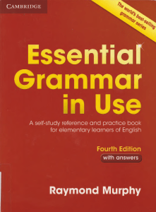 Essential Grammar in Use Murphy R.  4-ed, 2015 -319с (1)