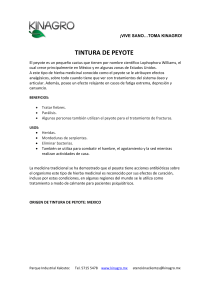 TINTURA-DE-PEYOTE--450899 (3)