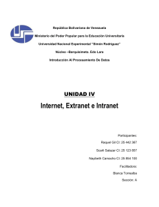 329813399-Internet-Intranet-y-Extranet