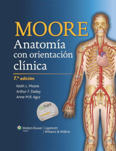 Moore Anatomia con orientacion clinica 7