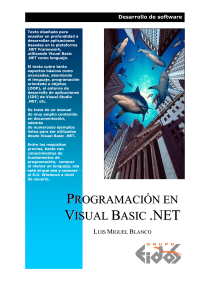 ManualProgramacion Visual Basic NET
