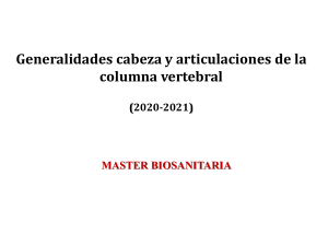 Bloque II- T 04 Generalidades Cabeza y Columnma vertebral