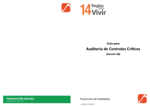 Anexo 1 Guia para Auditoria de Controles Críticos v08