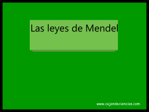 9° Grado-Leyes Mendel