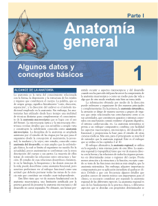 Anatomia veterinaria Dyce 4ª ED
