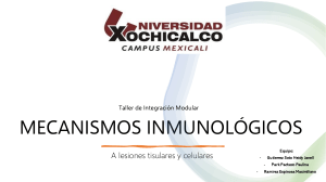 Mecanismos inmunologicos