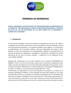 TÉRMINOS DE REFERENCIA ESTUDIOS VW