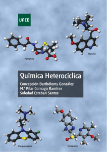 Química Heterocíclica libro