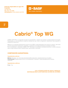4. FT CABRIO TOP WG