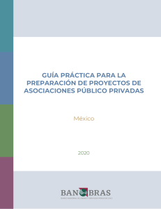 201002 Guía de Proyectos Asociación Público-Privada