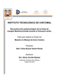 Reconstrucción paleoecológica de la franja de manglar Mahahual-Xcalak durante el Holoceno tardío