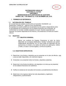 mpa-auditoria-distribuidora andaluz