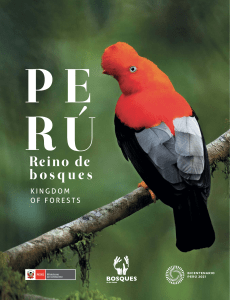 Libro Peru Reino Bosques