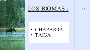 LOS BIOMAS  CHAPARRAL Y TAIGA TRABAJO GRUPAL