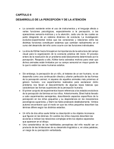 DESARROLLO DE LA PERCEPCIÓN Y DE LA ATENCIÓN (2)