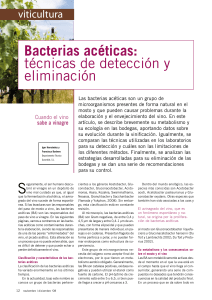 Bacterias Aceticas- Guserbiot Viticultura
