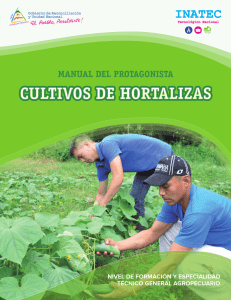 Cultivo de Hortalizas