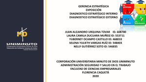 Exposición de Gerencia Estrategica - DIAGNOSTICO ESTRATÉGICO INTERNO & EXTERNO