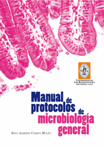 Manual protocolos microbiologia