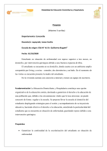 Proyecto Educación Domiciliaria y Hospitalaria Ivana Lapsynski
