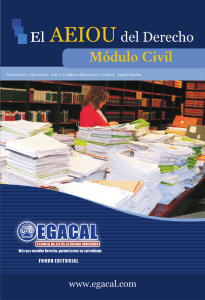 el-aeiou-del-derecho-modulo-civil