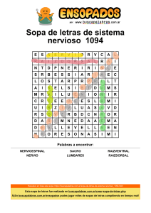 sopa-de-letras-de-sistema-nervioso 1094 Guadalupe
