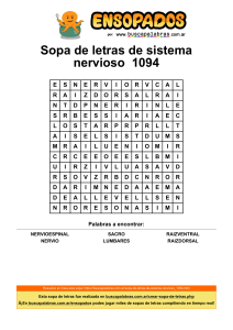 sopa-de-letras-de-sistema-nervioso 1094
