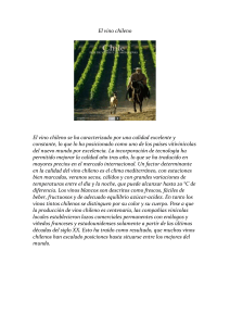 El vino chileno.pdf