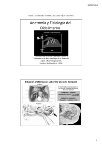 Tema 3. Anatomía y Fisiología del Oído Interno