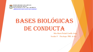 Bases Biológicas de Conducta Sociales V  Psicología PRE  de sec.