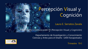 Percepcion visual y cognicion