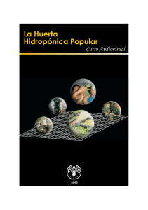 La Huerta Hidroponica Popular