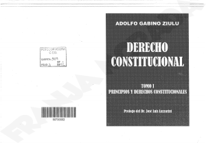 Derecho-Constitucional.-Ziulu-T-I